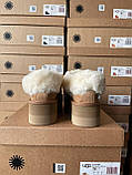 Жіночі угги UGG Coquette Platform Chestnut Brown ALL14156, фото 10