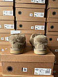 Угги жіночі Ugg Coquette Khaki ALL13985, фото 3