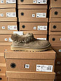 Угги жіночі Ugg Coquette Khaki ALL13985, фото 4