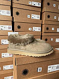 Угги жіночі Ugg Coquette Khaki ALL13985, фото 5