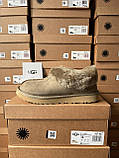 Угги жіночі Ugg Coquette Khaki ALL13985, фото 7