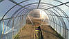 Теплиця "Комбінована 3*10" з М-профіля , фото 6