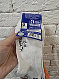 Носки дитячі р35-38. 5 пар, фото 2