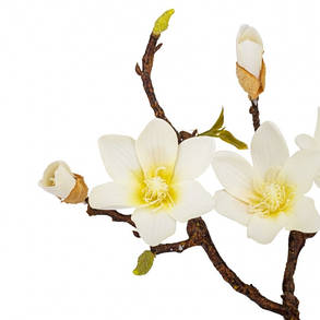 Магнолія "Аврора", колір — кремовий, 25*62 см., фоаміран (9160-009), фото 2