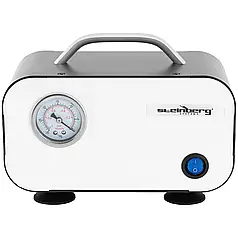 Вакуумний насос манометр Steinberg Systems