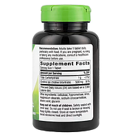 Холін  Вітамін B4 (Choline) 500 мг Natures Watures 100 веганських таблеток, фото 3