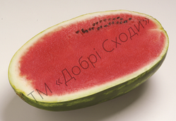 Кавун Фарао F1 (5 шт) - Syngenta