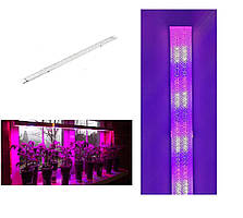 Фітосвітильник (світлодіодний) 30 W, ВК white-30