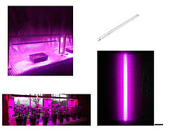 Фітосвітильник (світлодіодний) 36 W, NSFS-36