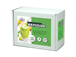 Набір для вирощування мікрозелені "Ідеально для смузі" - "Домашній фермер"