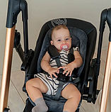 Стільчик-гойдалка El Camino Debut ME 1102 Posh Black, фото 9