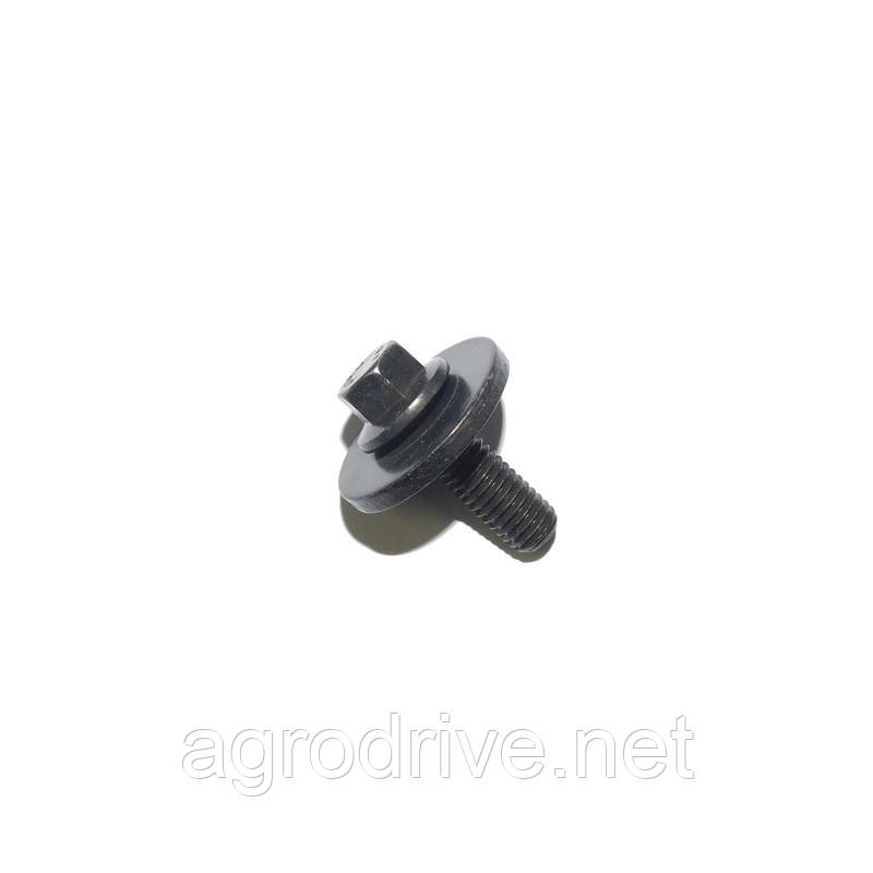 Болт з шайбою м8 * 25 T203491 W712313S450B
