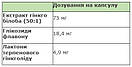 Вітаміни "Sanct Bernhard - Ginkgo biloba", екстракт Гінкго білоба 75 мг., для серця, судин, кровообігу, 30 шт., Німеччина, фото 2