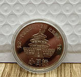 Срібна монета Змія для удачі, Процвітання, Здоров'я та з мантрами багатства для накопичення Багатства та Сохр, фото 2