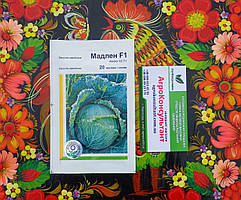 Насіння капусти Мадлен F1 (Rijk Zwaan), 20 насінин — рання (90-105 днів), савойська