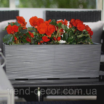 Горщик пластмасовий BEGONIA DLUTO з вкладом графітовий 56 см., фото 3