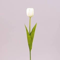 Квітка Тюльпан біла 71476