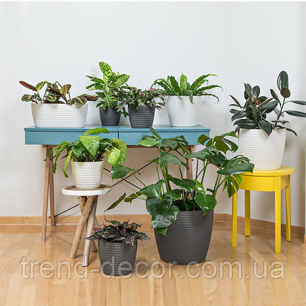 Горщик пластмасовий MAGNOLIA JERSEY бордовий 22см., фото 3