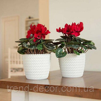 Горщик пластмасовий MAGNOLIA JERSEY білий 30см., фото 3