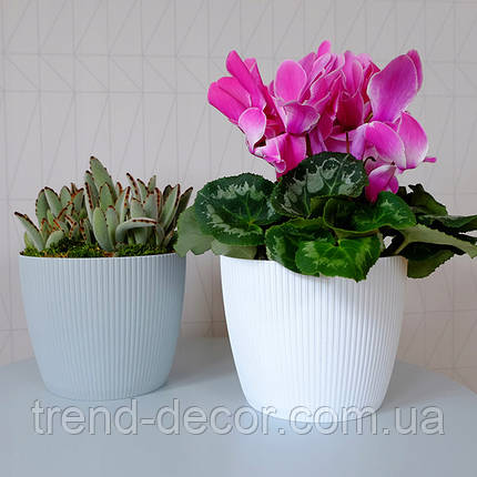 Горщик пластмасовий MAGNOLIA JUMPER світло-сірий 14см., фото 3