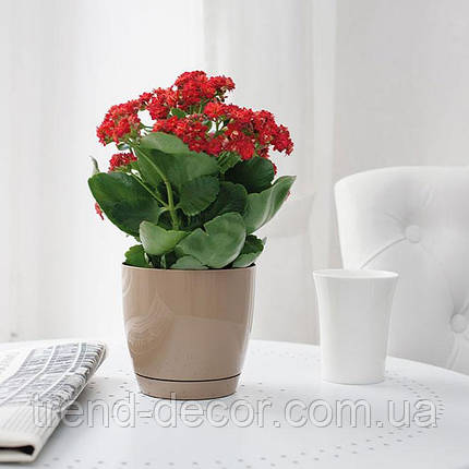 Горщик пластмасовий Тоскана круглий платиновий 11 см., фото 3