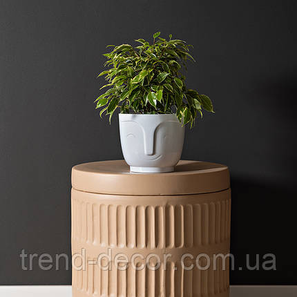 Горщик пластмасовий Atena білий 14 см., фото 3