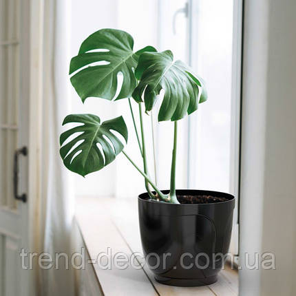 Горщик пластмасовий Atena чорний 16.5см., фото 3
