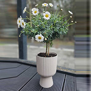Горщик пластмасовий Keli Mika Petit ECO WOOD чорний 14см., фото 3