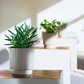 Горщик пластмасовий Mika Cyli Petit ECO WOOD білий 18см., фото 3