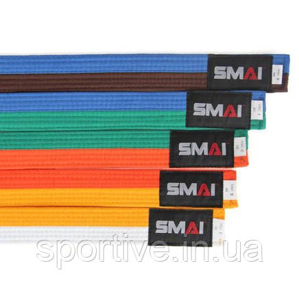 Подвійний пояс для кімоно | синьо-зелений | SMAI SM B001JCUB, фото 2