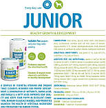 Canvit Junior Канвіт Юніор - комплекс вітамінів для цуценят та молодих собак, 100 табл., фото 4