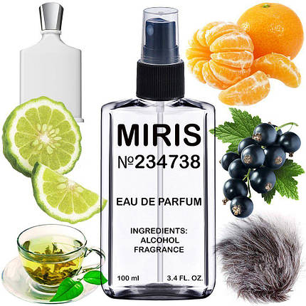 Парфуми MIRIS No234738 (аромат схожий на Silver Mountain Water) Унісекс 100 ml, фото 1