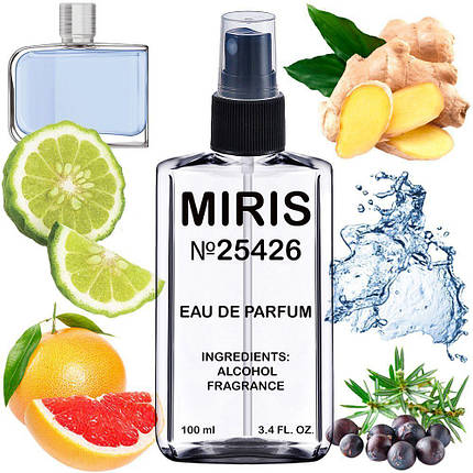 Парфуми MIRIS No25426 (аромат схожий на Essential Sport) Чоловічі 100 ml, фото 1