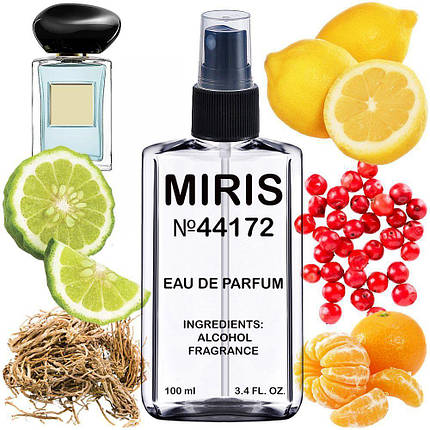 Парфуми MIRIS No44172 (аромат схожий на Prive Vétiver d'Hiver) Чоловічі 100 ml, фото 1