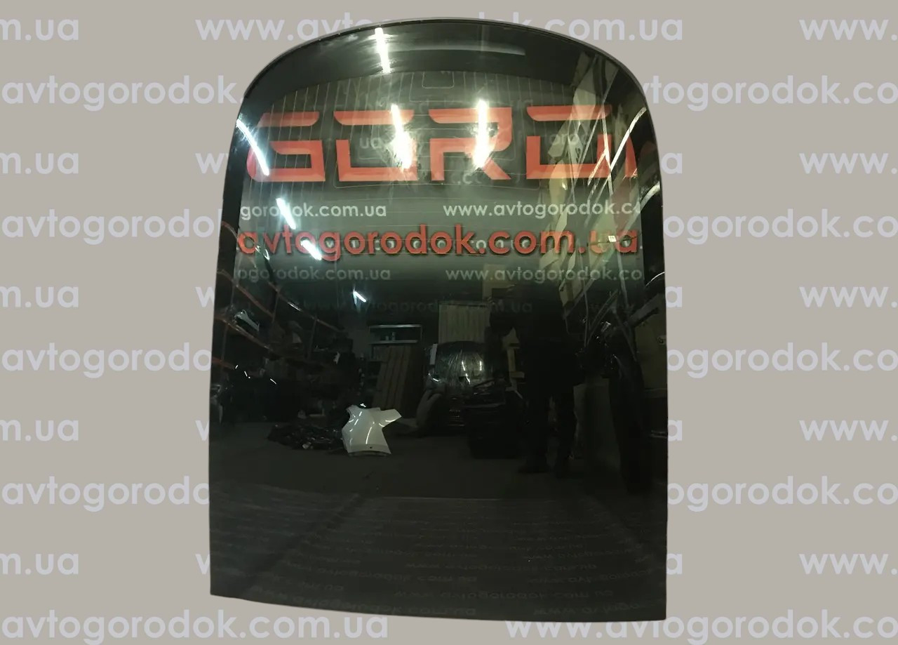 Скло заднє панорама Tesla Model 3