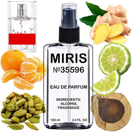 Парфуми MIRIS Premium No35596 (аромат схожий на In Red 2002) Жіночі 100 ml, фото 1