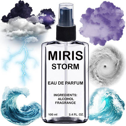 Парфуми MIRIS Storm Унісекс 100 ml, фото 1