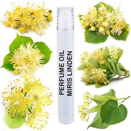 Парфумерна олія MIRIS Linden Унісекс 10 ml, фото 1
