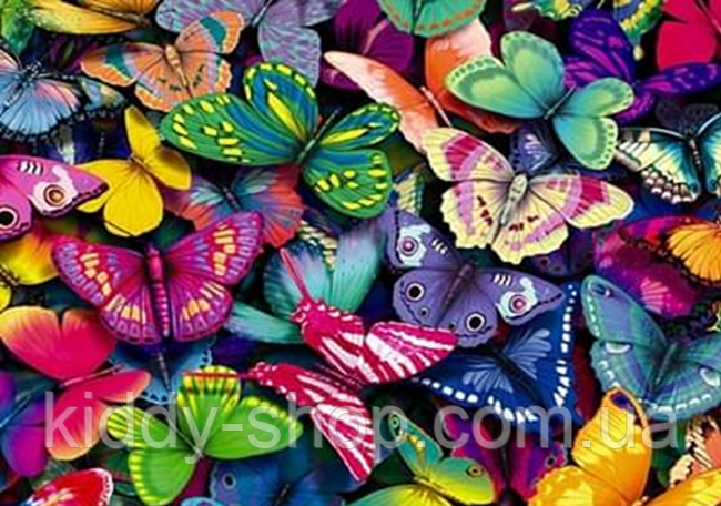 Діамантова мозаїка. Картина на підрамнику Феєрія метеликів, розмір 30х40 см, фото 1