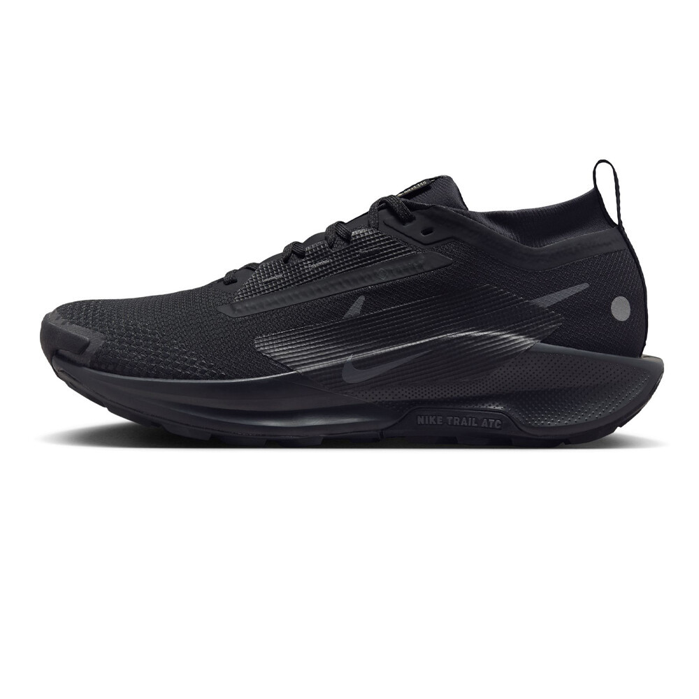 Кросівки чоловічі NIKE PEGASUS TRAIL 5 GTX FQ0908-002 GORE-TEX