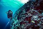 Смарт-годинник Suunto EON Core Dive Computer with bungee strap (SS022740000) для дайвінгу, фото 8