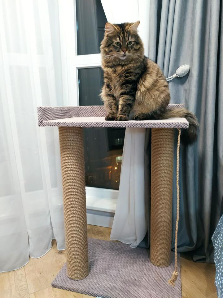 Висока кігтеточка для Мейн-кунів із лежанкою 95*60*40 см Моко, фото 1