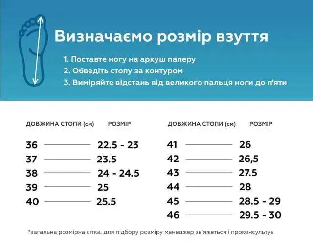 Розмірна сітка