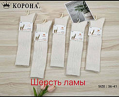 Гольфи жіночі з вовни лами КОРОНА B2568-1,2,3,4 36-41 кремовий В2568-4