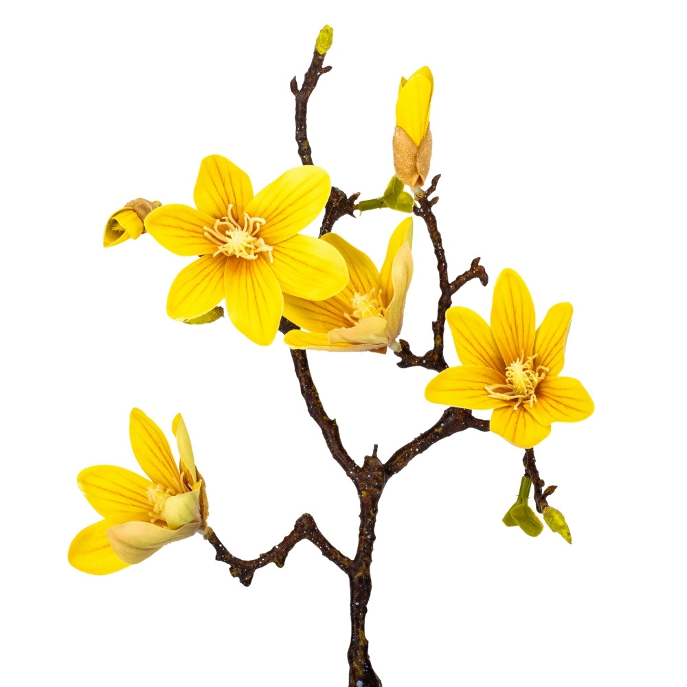 Магнолія "Марго", жовта, 60 см ELISEY, фото 1