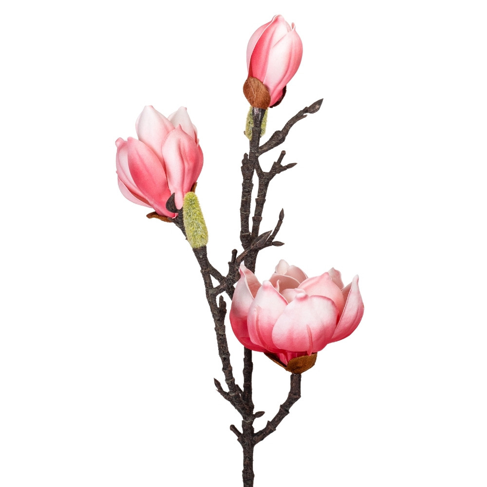 Магнолія "Фелісія", рожева, 70 см ELISEY, фото 1