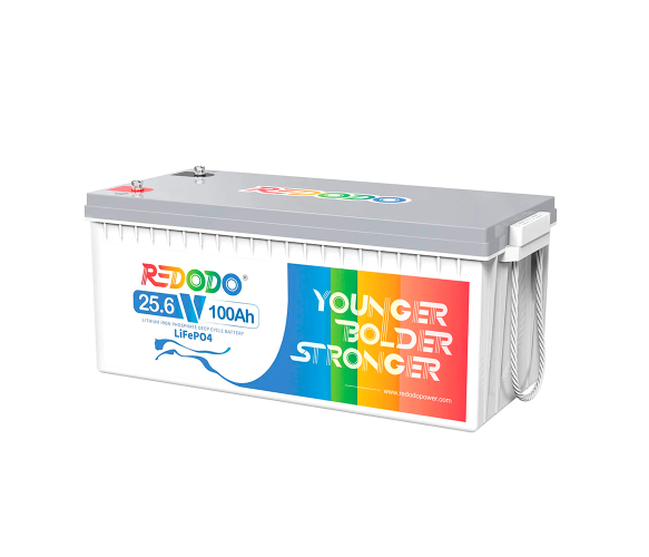 Акумулятор Redodo LiFePO4 24 V 100 Ah 2,56kWh (100/100A)