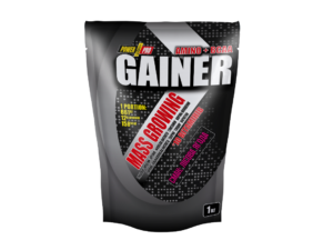Купити Power Pro Gainer Amino+BCAA 1000 г Лісова ягода, фото 1