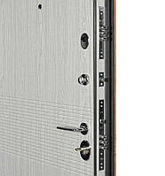 Вхідні двері Revolut В-81, модель 564/264. Колір: спил дерева коньячний/венге парма, фото 8