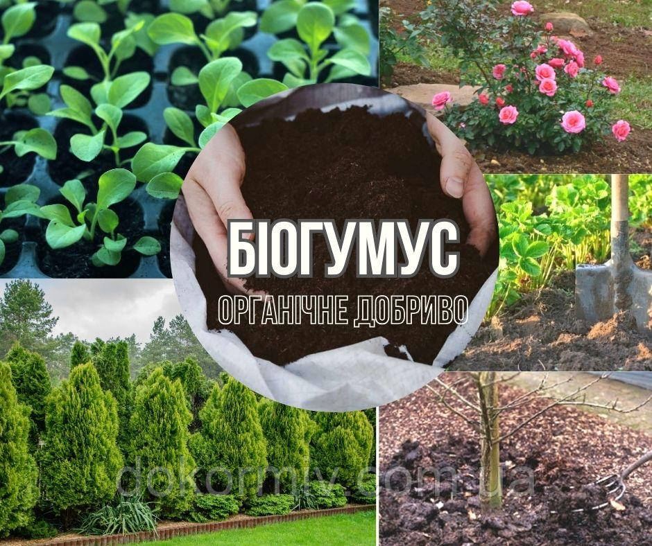 Біогумус (Вермикомпост)